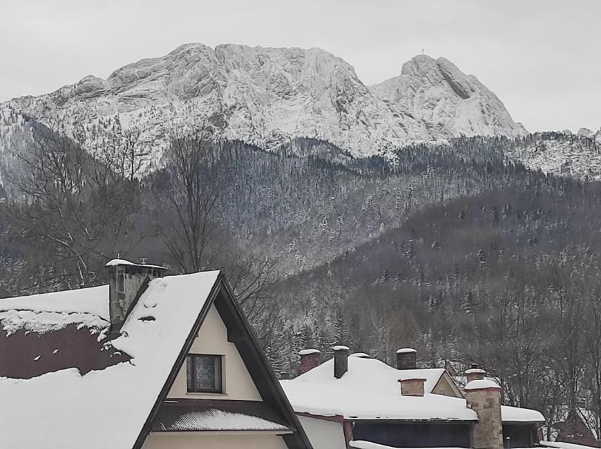 Apartmán Arnika Wynajem Pokoi Zakopane Exteriér fotografie
