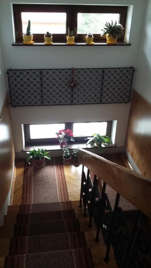 Apartmán Arnika Wynajem Pokoi Zakopane Exteriér fotografie